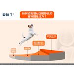 【PawHomie】愛迪生Addison 關節骨力錠, , large
