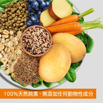 【耐吉斯】V1 維根田園藜麥餐-成犬素食 5.5磅(狗飼料/犬飼料/犬糧), , large
