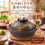 【HIYASU日安工坊】日本信樂燒10號砂鍋-鐵赤格子, , large