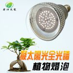 【君沛】全光譜 15W 居家首選 植物燈泡 E27 抑制徒長 模擬自然光 觀葉植物 多肉 塊根補光 燈養, , large