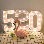 LED NEON LIGHT, , large