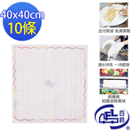 [百鈴]髒會滅銅纖維抑菌去汙免洗劑擦巾XL號10條(抹布/擦巾/清潔布/萬用巾/吸水巾/擦拭布/抗菌), , large