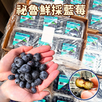 [芯鮮果]祕魯進口( 藍莓 ), , large