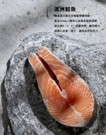 【TRILOGY奇境】澳洲無穀成貓糧 貓飼料 貓乾糧 牛肉/鮭魚300gX2包, , large