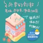 【IN-Plus】蛋殼膜卵磷脂 魚油舒敏配方60顆/罐(全齡犬/寵物保健/寵物魚油/皮膚保健), , large