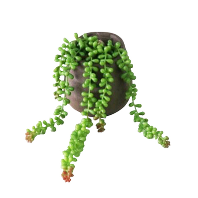 【YU Living】模擬垂掛式多肉植物裝飾盆栽 人造盆栽