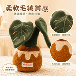 【際洋文化】象皮兔 龜背竹（盆栽）, , large
