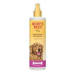 【PawHomie】Burt's Bees蘋果蜂蜜保濕護毛素乾洗潔膚水（犬用）, , large