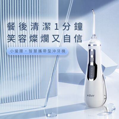 【FerdY 美國佛迪】攜帶型沖牙機 FD-P100