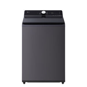 LG WT-TD20HG直立式變頻洗衣機20kg