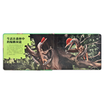 [風車圖書] PNSO翼龍知識百科拼圖, , large