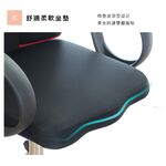 辦公椅 電腦椅 網椅 人體工學椅 主管椅 護腰 電競椅 CH1246, 黑色, large