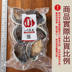 小川漁屋 極品南非活凍帶殼鮑魚1包（500g/包/約6~8粒&plusmn;10%）_任選, , large