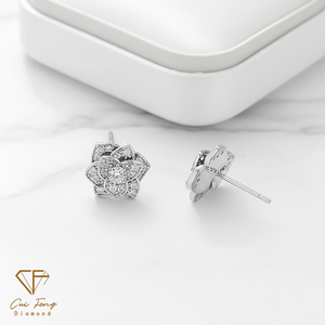 CF Diamond