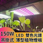 【君沛植物燈】LED植物燈 150瓦 量子板 植物層架燈板 雙色溫 植物燈板 裸版 led燈板, , large