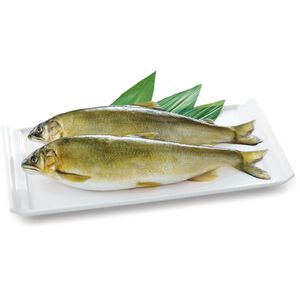 履歷抱卵母香魚(每包約500克,約3-5尾)