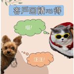 [Beargood sticker] Wall-Mounted Pet Bowl (304 Stainless Steel), , large