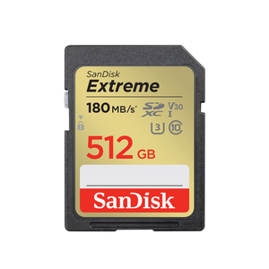 SanDisk SD card