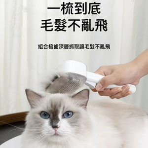 【艾寵聯萌】二合一功能寵物梳（貓梳子 廢毛梳 狗梳子 除毛梳 梳毛器 開結梳 寵物針梳 細針梳 梳毛刷 清潔梳）
