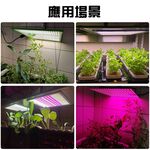 【君沛植物燈】LED植物燈150瓦 量子板 植物燈板 全光譜 led燈板, , large