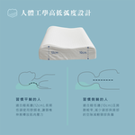 ［熊棉］自然呵護乳膠健康枕｜1入｜乳膠 無毒 最划算 斯里蘭卡乳膠 天然乳膠 健康, , large