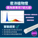 【君沛】7號光譜 藍光強化 4呎T8一體式 25W 抑制徒長 鹿角蕨推薦 觀葉植物 還原原色 層架燈, , large