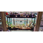 【 SHAONIANNA.TW 】大型雙層排水植栽推車｜網格層板・雙水盤・四輪｜150&times;45&times;120cm, , large