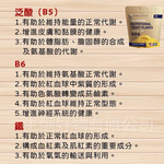 柏格醫生dr berg@官方獨家代理-營養酵母片 維生素b b群, , large