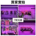 【君沛】7號光譜 V型雙排 2呎 T8一體式植物燈 25W 抑制徒長 鹿角蕨推薦 觀葉植物 還原原色 桌上型補光 免燈座, , large
