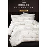 【PATTON POLO巴頓保羅】台製抑菌除臭被(冬被/被子/被胎), , large