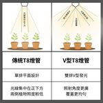 【君沛】紅藍光譜 50W超高功率 3呎V型植物燈管 抑制徒長 專業育苗 鹿角蕨孢子苗 龍舌蘭 多肉, , large