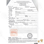 2罐組 ZEAL 真致 紐西蘭犬貓專用鮮乳 (不含乳糖) 380ml 犬貓鮮奶 犬貓牛奶 貓牛奶 狗牛奶 寵物營養, , large