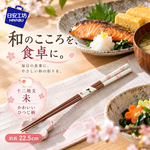 【HIYASU日安工坊】日本工藝箸-十二地支 未, , large