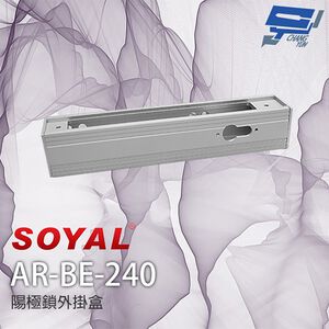 昌運監視器 SOYAL AR-BE-240 陽極鎖鎖頭29外掛盒 大單盒 (適用1207A/B-F)