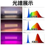 【君沛】吊掛式仿太陽光植物燈板 20W 全光譜 高演色性 自然舒適光 觀葉植物 龜背芋 鹿角蕨 補光燈, , large