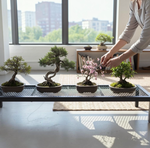 【 SHAONIANNA.TW 】金屬網面低台架 80&times;30&times;20cm 盆景盆栽展示架 工業風侘寂茶几 菱格通風防潮 一體成型高承重 可調水平腳, , large