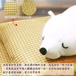 LASSLEY 亞藤綠豆殼舒眠童枕(兩面枕 冬夏兩用 四季皆宜 純棉枕 透氣 舒爽 午睡枕 小枕 午休枕 台灣製造), , large