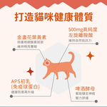 【IN-Plus】左旋離胺酸 雙效防禦配方30包/盒(全齡貓/貓咪免疫保健/貓咪保健/眼睛保健), , large