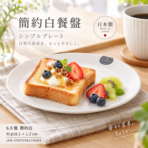 【HIYASU日安工坊】6.0 盤 簡約白