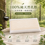【帕瑪PAMA】100%天然乳膠枕#加長#防螨抗菌#帕瑪寢飾生活館, , large