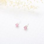 【Angel & Me】六爪 皇冠 5mm 瑞士 彩鑽 單鑽鋯石 s925純銀耳環, , large