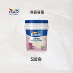 Paint, , large