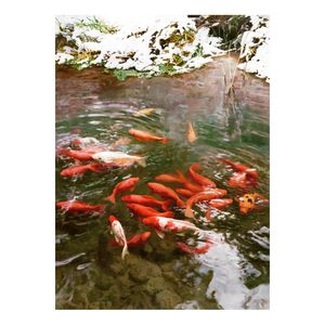 【御畫房】富貴有魚 國家一級畫師手繪油畫80&times;110cm(VF-66)