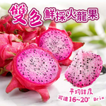 預購【愛上新鮮】雙色鮮採火龍果6斤/箱(8/18起陸續出貨), , large