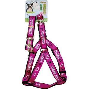 【寵物用品】DogClub25mm拉帶+胸背帶-顏色隨機出貨