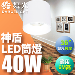 DanceLight舞光 40W 神盾筒燈 光束角36度 壓鑄鋁散熱快 全電壓 一體成形 時尚白/貴族黑(白光/黃光/自然光), , large