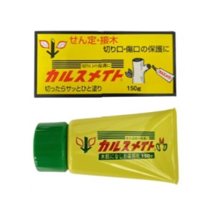 Fuji Healing Paste(Made in Japan) 150g