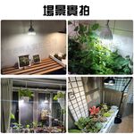【君沛】40W 全光譜 植物燈 抑制徒長 模擬日照 龍舌蘭控型 塊根植物 鹿角蕨 龜背芋 吊掛式 E27專業生長燈, , large