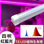 【君沛】紅藍光譜 4呎 T8植物燈管 25W 育苗專用 抑制徒長 鹿角蕨孢子苗 玫瑰補光 發根強化 大型層架專業生長燈, , large