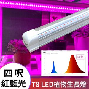 【君沛】紅藍光譜 4呎 T8植物燈管 25W 育苗專用 抑制徒長 鹿角蕨孢子苗 玫瑰補光 發根強化 大型層架專業生長燈